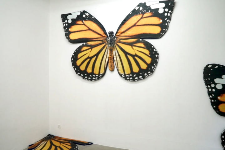 « YESN&rsquo;T », GALERIE SULTANA