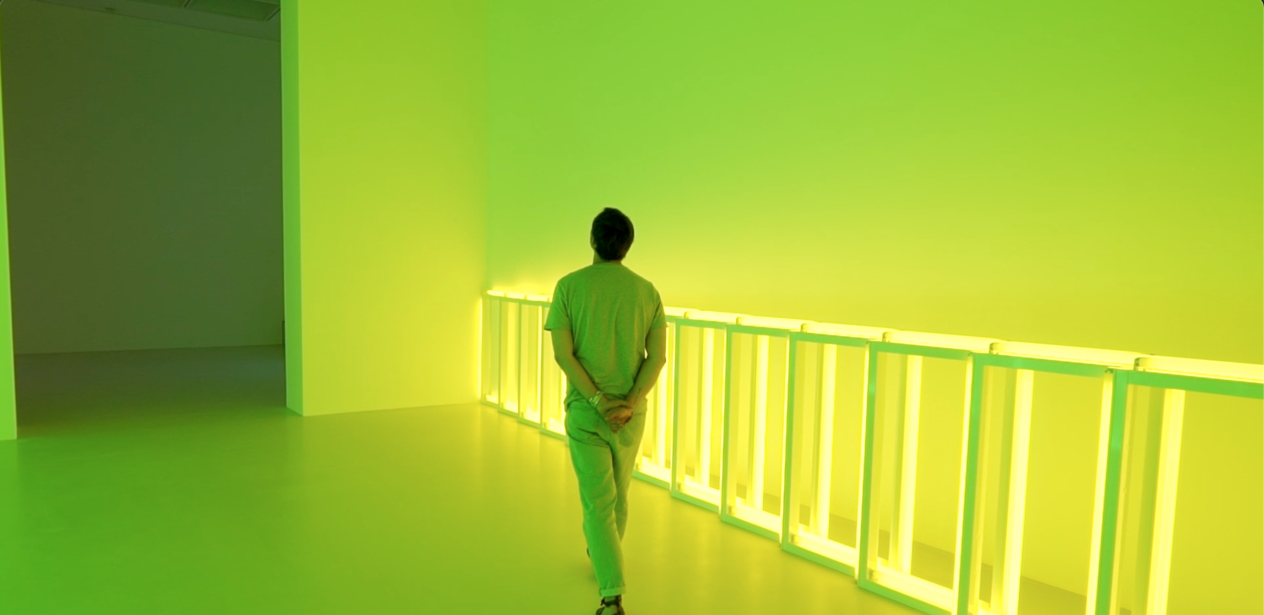 DAN FLAVIN
