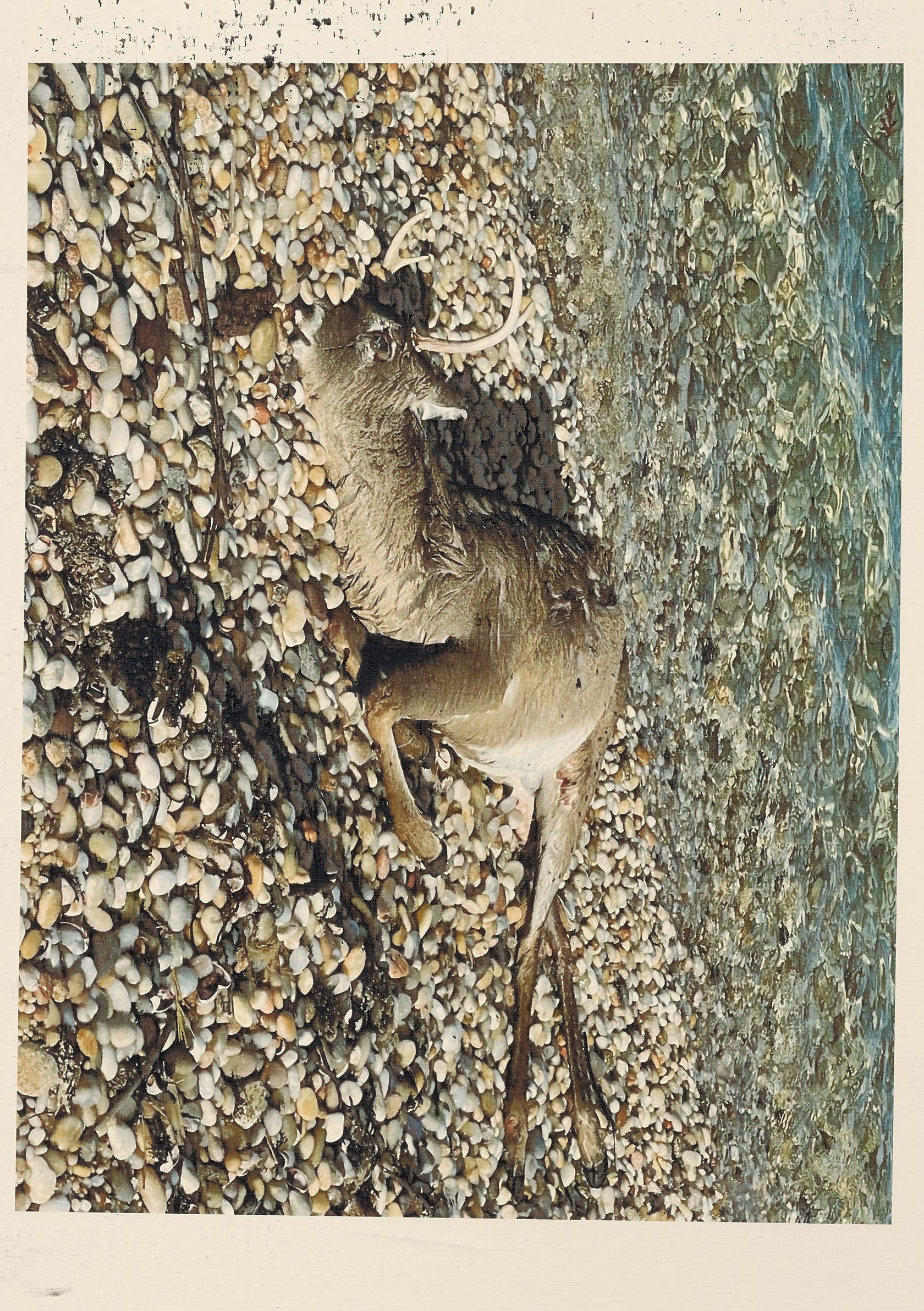 6 EXPOS À VOIR EN GALERIE EN JUIN