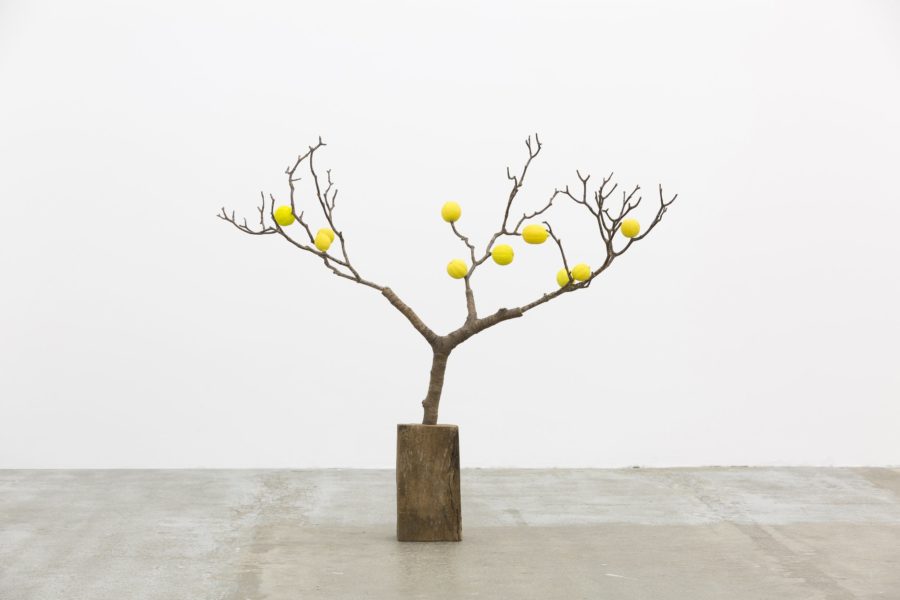 7 EXPOS À VOIR EN GALERIE DÈS JUILLET