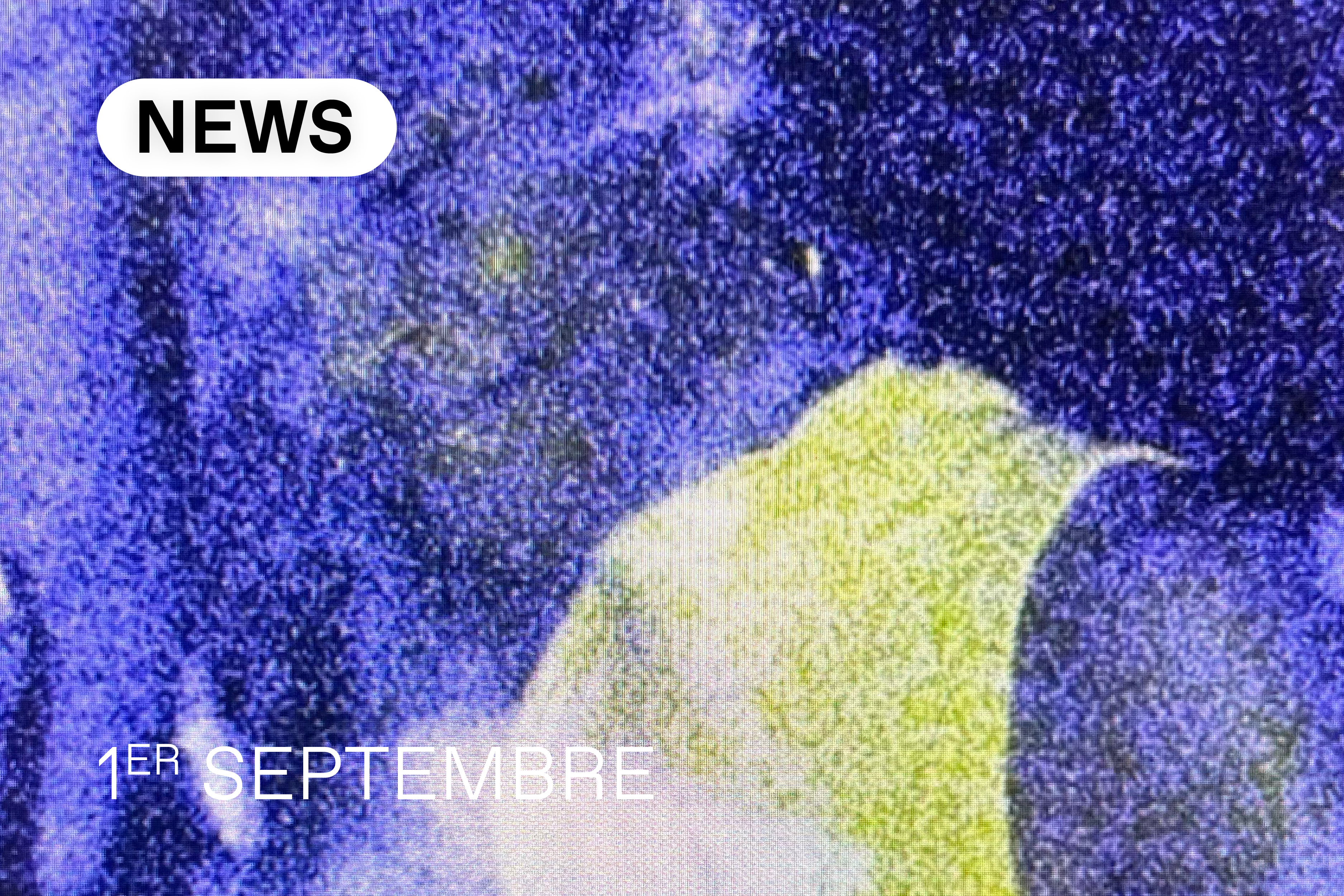 NEWS DU 1ER SEPTEMBRE