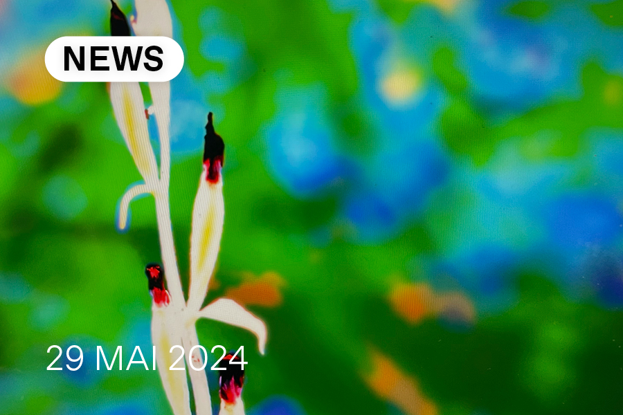 NEWS DU 29 MAI