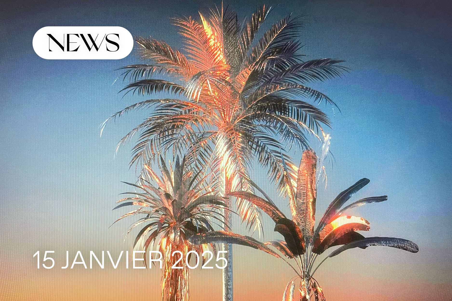 NEWS DU 15 JANVIER
