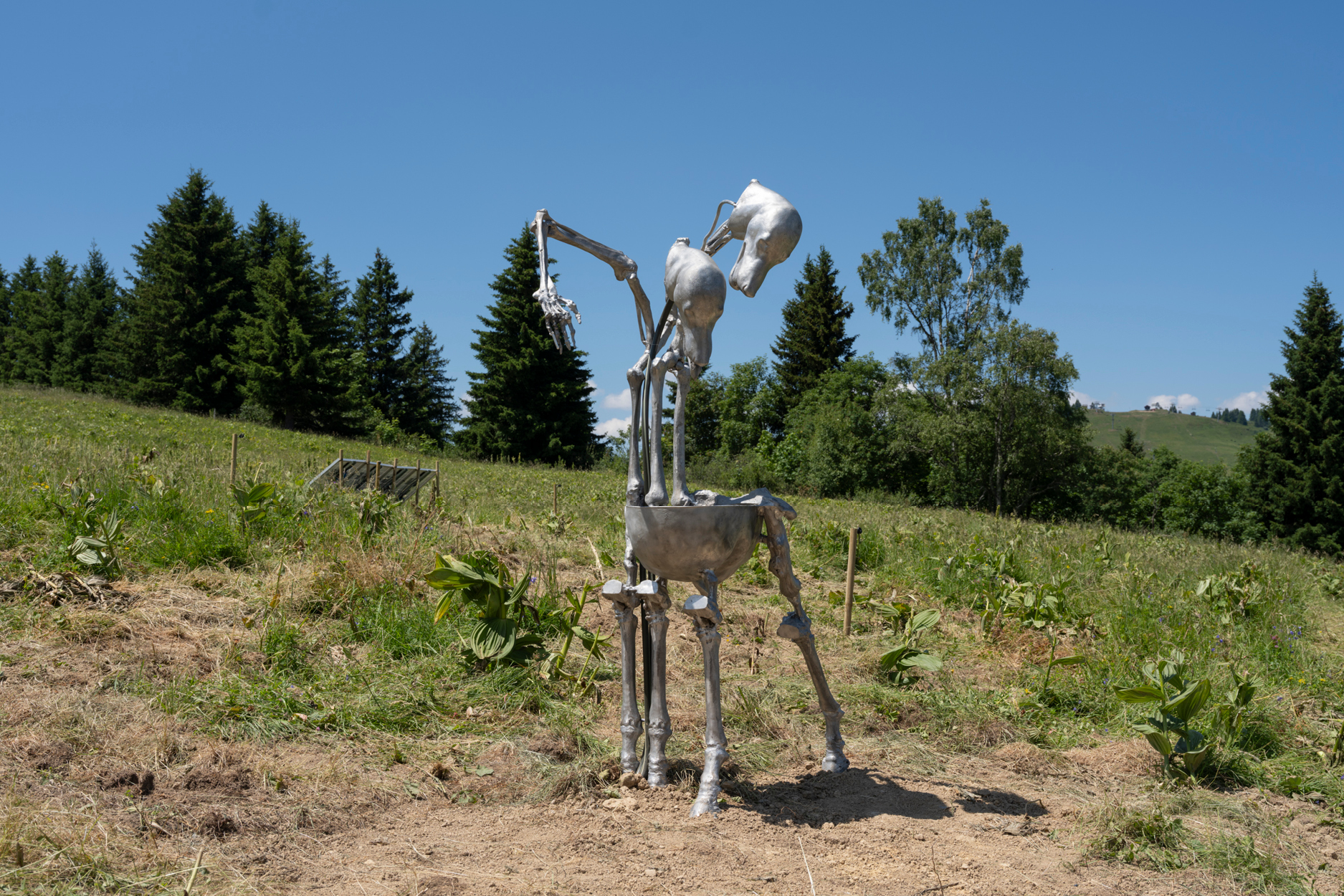 Biennale Artocène : Douze artistes s’emparent des paysages alpins