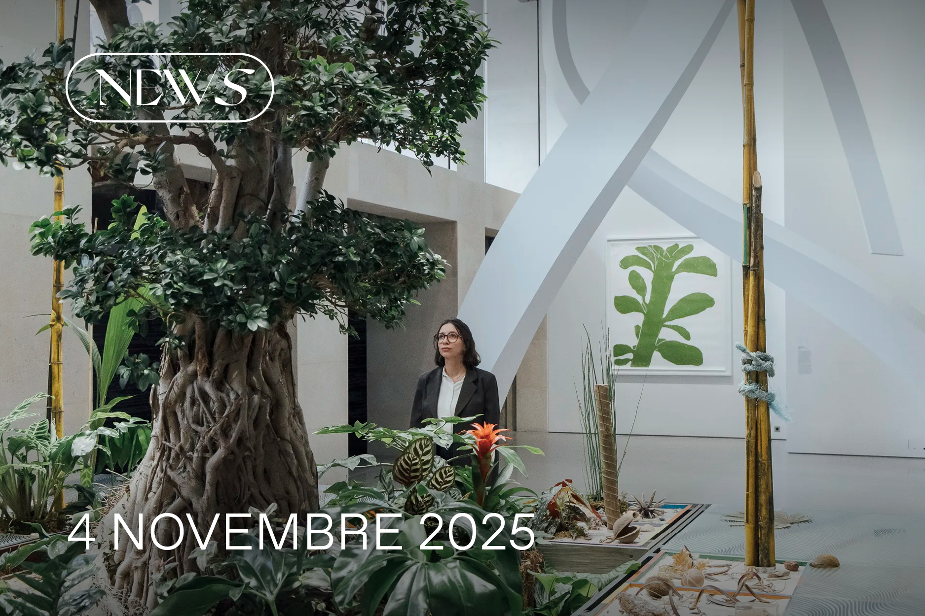 NEWS CLIMAT NOVEMBRE 2025